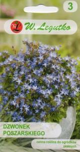 Dzwonek Poszarskiego 0,03g (Campanula poscharskyana) nasiona