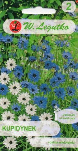 Kupidynek mix 0,1g  (Catananche caerulea) nasiona