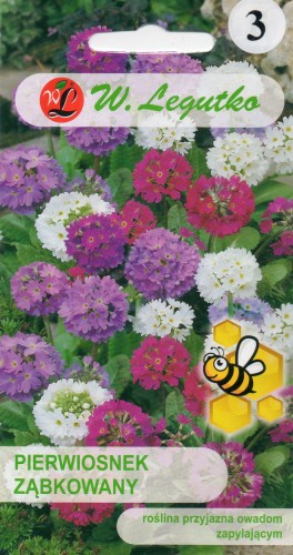 PIERWIOSNEK ZĄBKOWANY.jpg