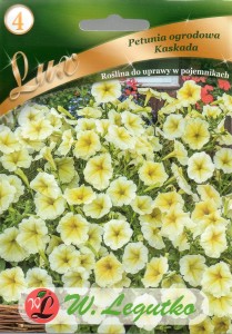 Petunia kaskadowa żółta 0,02g (Petunia x hybrida pendula) nasiona 
