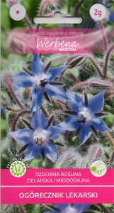 Ogórecznik lekarski 2g (Borago officinalis) nasiona