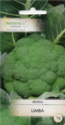 BRUKUŁ LIMBA (1).jpg