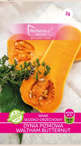 Dynia_pizmowa_Waltham_Butternut_2g-nasiona-warzyw-1.webp