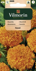 Aksamitka wzniesiona wysoka Hawaii 1g nasiona (Tagetes erecta ) 
