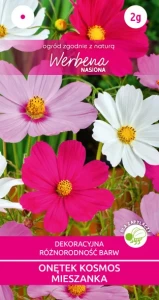 Kosmos Onętek mieszanka 2g (Cosmos bipinnatus) nasiona