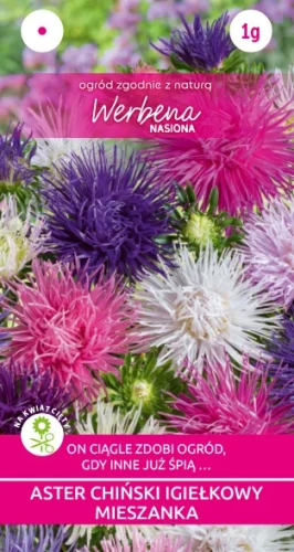 Aster-chinski-igielkowy-mieszanka_nasiona_kwiatow.webp