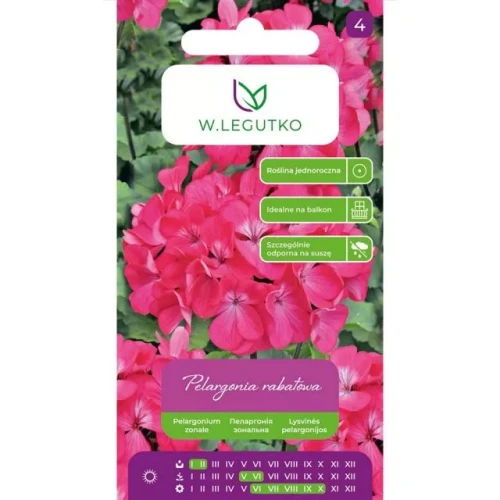 pelargonia-rabatowa-gama-f1-rozowa.webp