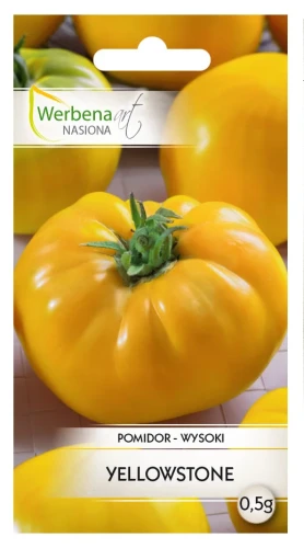pomidor-yellowstone-front.jpg.webp
