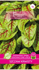 Szczaw krwisty 1g ( Rumex sanguines) nasiona