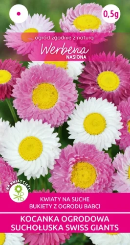 Kocanka-ogrodowa-Swiss-Giants-mieszanka_nasiona_kwiatow.webp