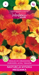 Nasturcja większa pnąca 4g (Tropaeolum peltophorum) nasiona 