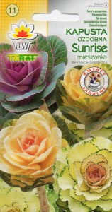 Kapusta ozdobna łodygowa Sunrise mix 10 nasion (Brassica oleracea)