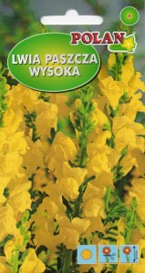 Lwia paszcza wysoka żółta 0,5g (Antirrhinum majus maximum) nasiona