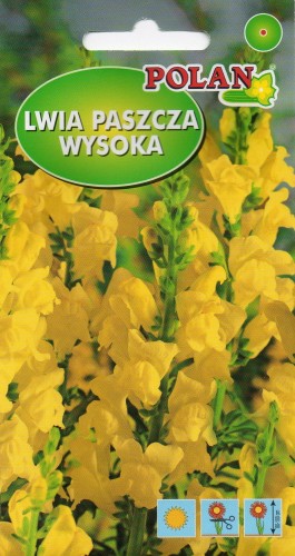 Lwia paszcza wysoka żółta 0,5g nasion