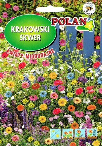 Mieszanka-kwiatow-Krakowski-Skwer-miododajne.jpg