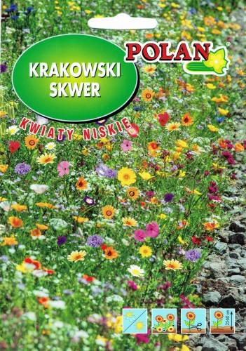 Mieszanka-kwiatow-Krakowski-Skwer-niskie.jpg