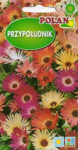 Przypołudnik/Dorotka stokrotkowata mix 0,5g (Mesembrryantheum) nasiona 