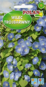 Wilec trójbarwny Heavenly Blue 2g (Ipomoea tricolor) nasiona