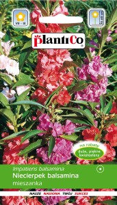Niecierpek balsamina mix 1g (Impatiens balsamina) nasiona
