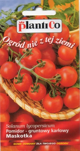 POMIDOR MASKOTKA.jpg