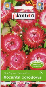 Kocanka ogrodowa różowa,Nieśmiertelnik  1g (Helichrysum bracteatum) nasiona 