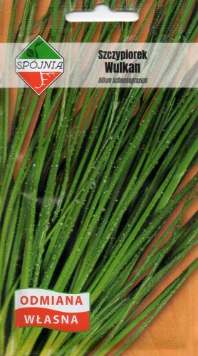 SZCZYPIOREK WULKAN.jpg
