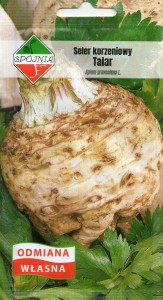 Seler korzeniowy Talar 1g nasiona 