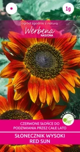 Słonecznik ozdobny wysoki Red Sun 1g (Helianthus annus) nasiona
