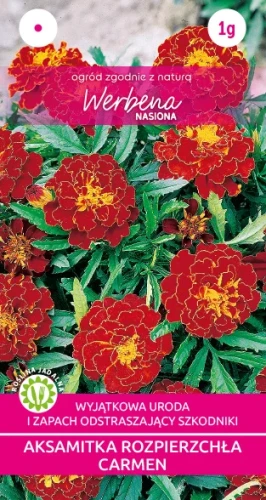 Aksamitka-rozpierzchla-Carmen-nasiona_kwiatow.webp