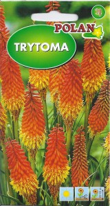 Trytoma 0,2g (Kniphofia uvaria) nasiona  