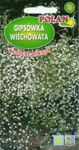 Gipsówka wiechowata, Łyszczec  1g ( Gypsohila paniculata) nasiona  