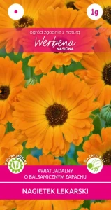 Nagietek lekarski 1g   (Calendula officinalis) nasiona