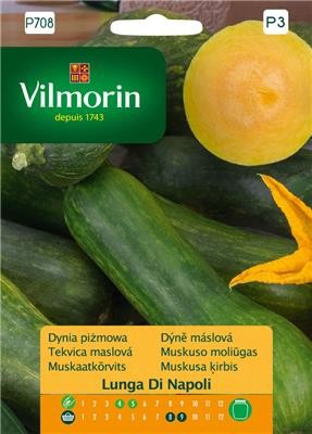 dynia piżmowa zielona Lunga di Napoli Vilmorin Garden.jpg