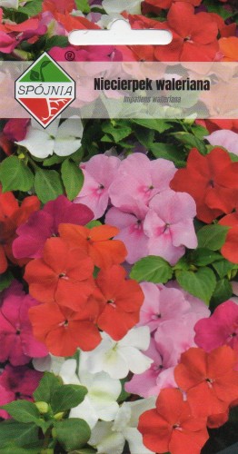 NIECIERPEK WALERIANA.jpg