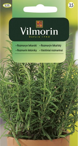 vilmorin zdjęcia 251.jpg