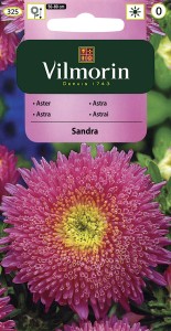Aster chiński książęcy Sandra różowy  0,5g nasiona (Callistephus chinensis)     