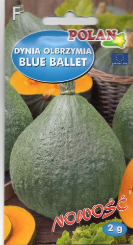 DYNIA OLBRZYMIA BLUE BALLET.jpg