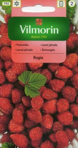 Poziomka Rugia 0,2g nasiona