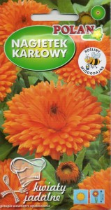 Nagietek niski (karłowy) pomarańczowy 3g nasion