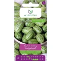 ogorek-ozdobny-meksykanski.webp