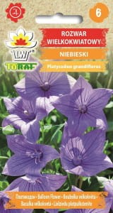 Rozwar wielkokwiatowy niebieski 0,2g (Platycodon grandiflorus)