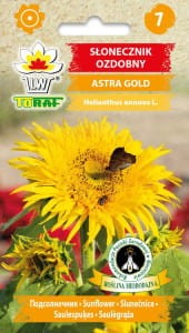 Słonecznik ozdobny Astra Gold 1g (Helianthus annuus L.)