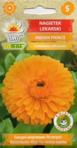 Nagietek Indian Prince 1g