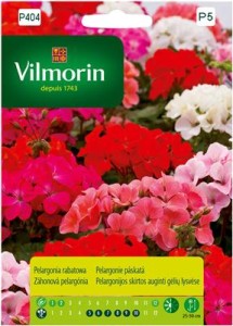 Pelargonia rabatowa mix kolorów 10 nasion