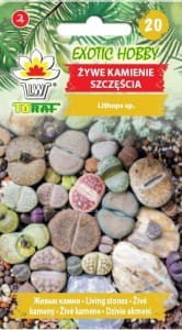 Żywe Kamienie Szczęścia 20 nasion (Lithops sp.)
