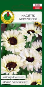 Nagietek Ivory Princess 0,5g (calendula officinalis fl.pl)