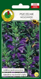 Pszczelnik mołdawski 1g (Dracocephalum moldavica)