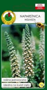 Naparstnica wełnista 1g (Digitalis lanata)