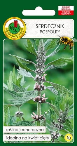 Serdecznik-pospolity-1g.jpg