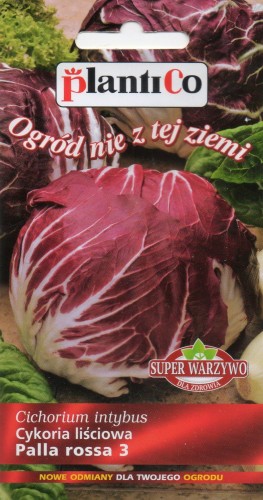 CYKORIA LIŚCIOWA PALLA ROSSA 3.jpg